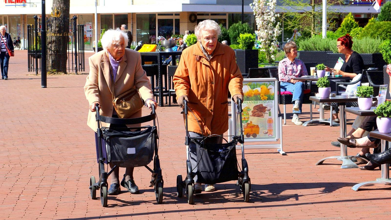 Shutterstock illusztráció