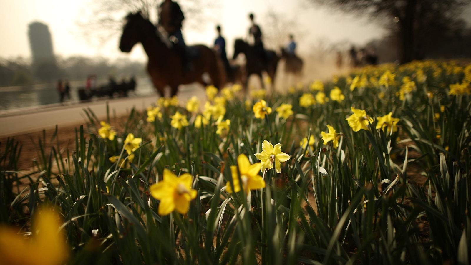 Fotó: Peter Macdiarmid, Getty Images.