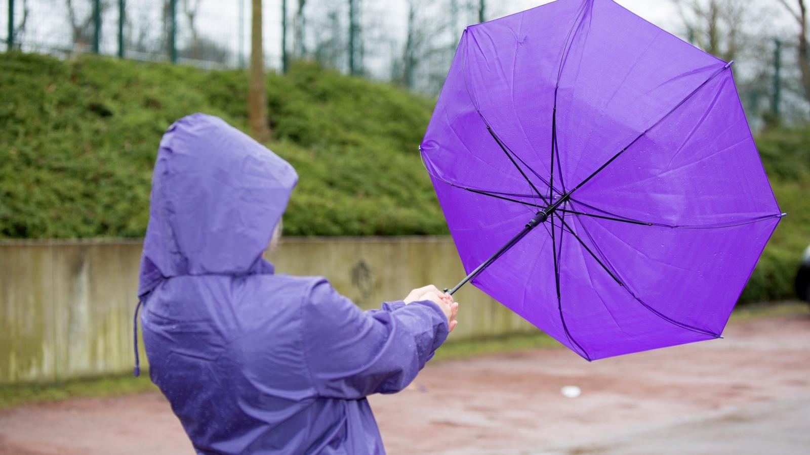 Illusztráció/Shutterstock