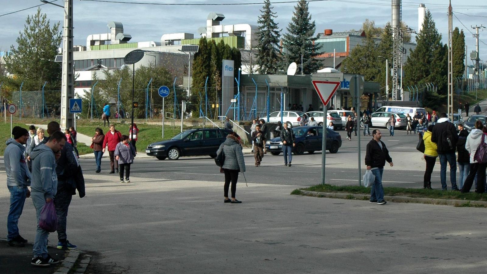 A FÉNYKÉP A SZERZŐ FELVÉTELE