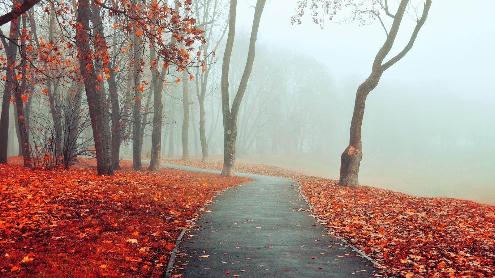 Illusztráció: Shutterstock