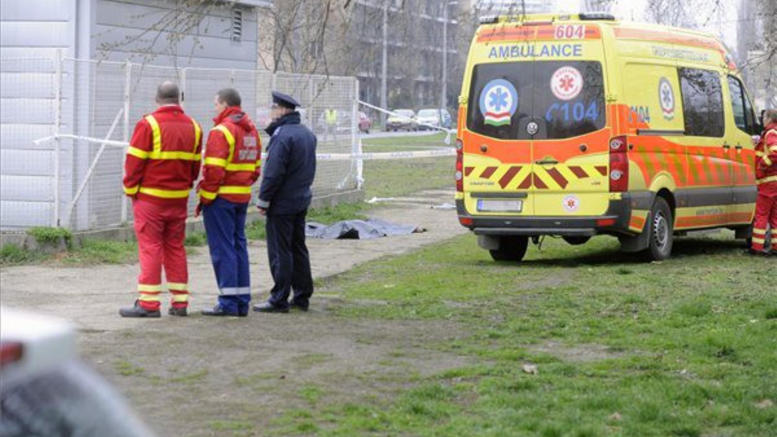 Letakart holttest Budapest X. kerületében a Száva utca és Zágrábi utca kereszteződéséhez közeli, félreeső területen 2014. márciu