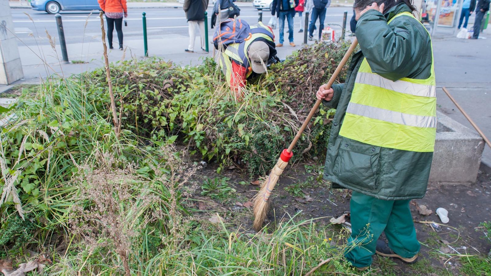 A közmunkások napi 8 óra munkával a minimálbér alig több, mint felét keresik. Fotó: Molnár Ádám