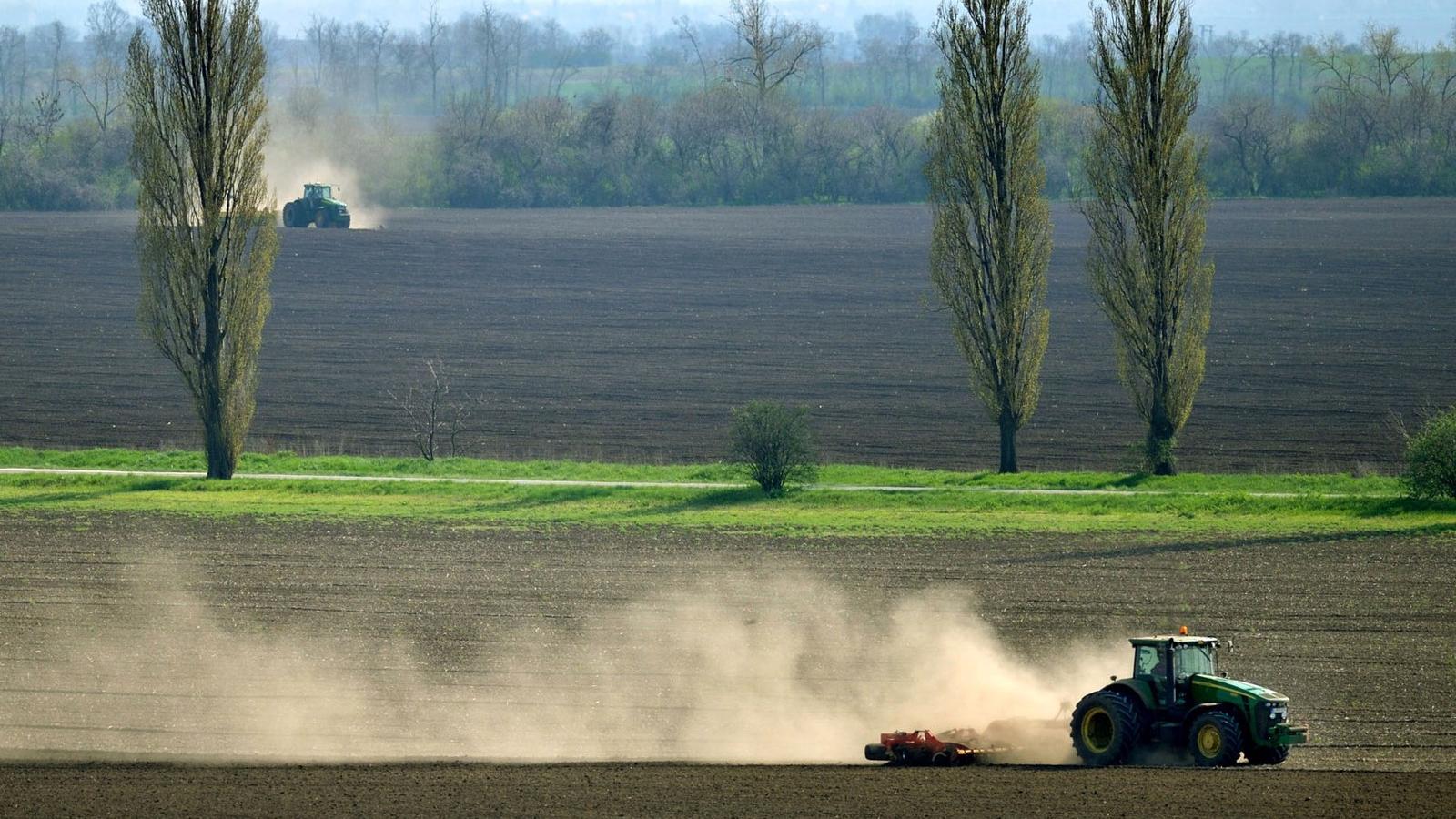 MŰVELÉS A bírósági döntéssel újraindul a kormány „földvédelmi” harca - FOTÓ: H. SZABÓ SÁNDOR
