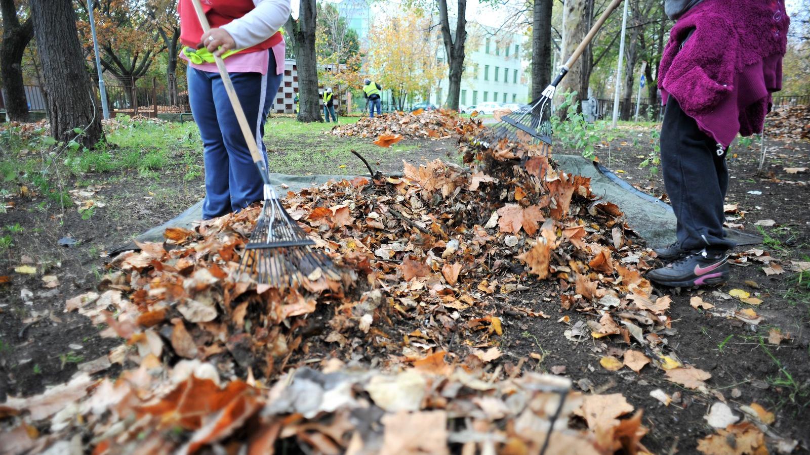 Illusztráció. Fotó: Tóth Gergő

