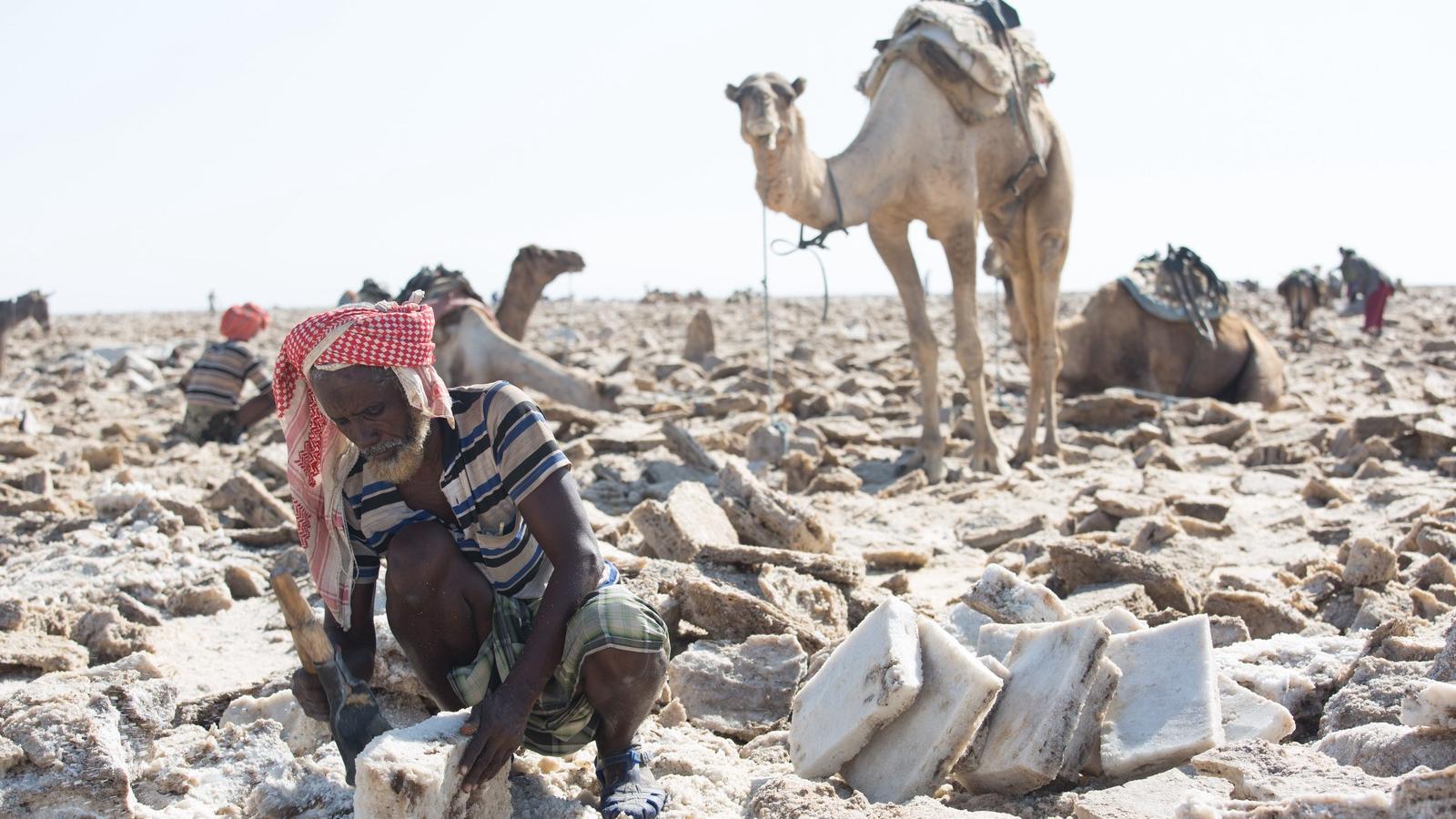 FOTÓK: NATIONAL GEOGRAPHIC