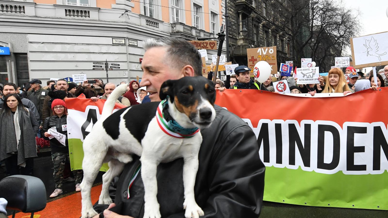 Csak ugatják a politikát - A Kétfarkú Kutypárt háza tájáról nem érkeznek "szakadós" hírek ( A vicces békemenet idén márciusban )