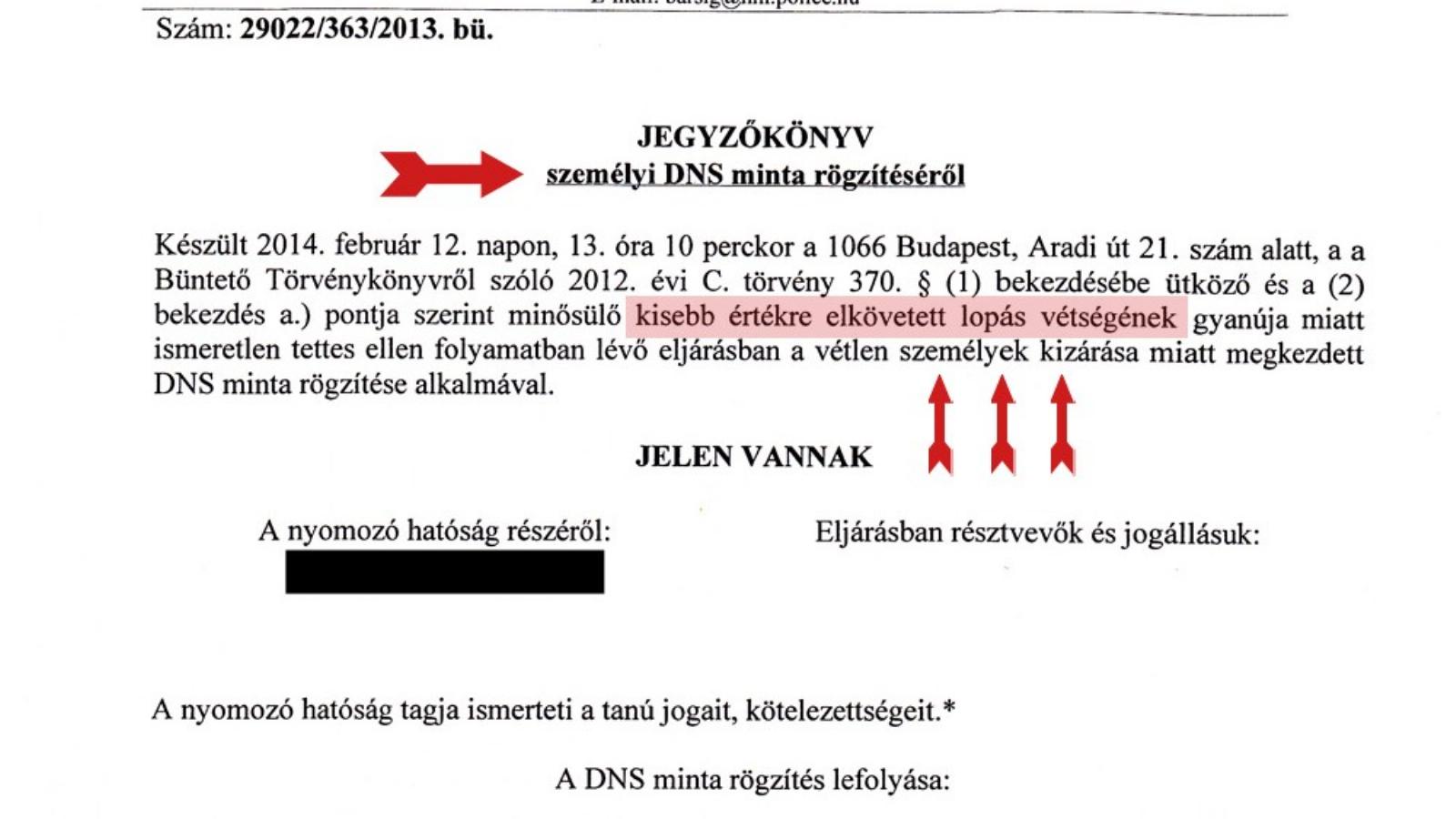 DNS-mintavételi jegyzőkönyv