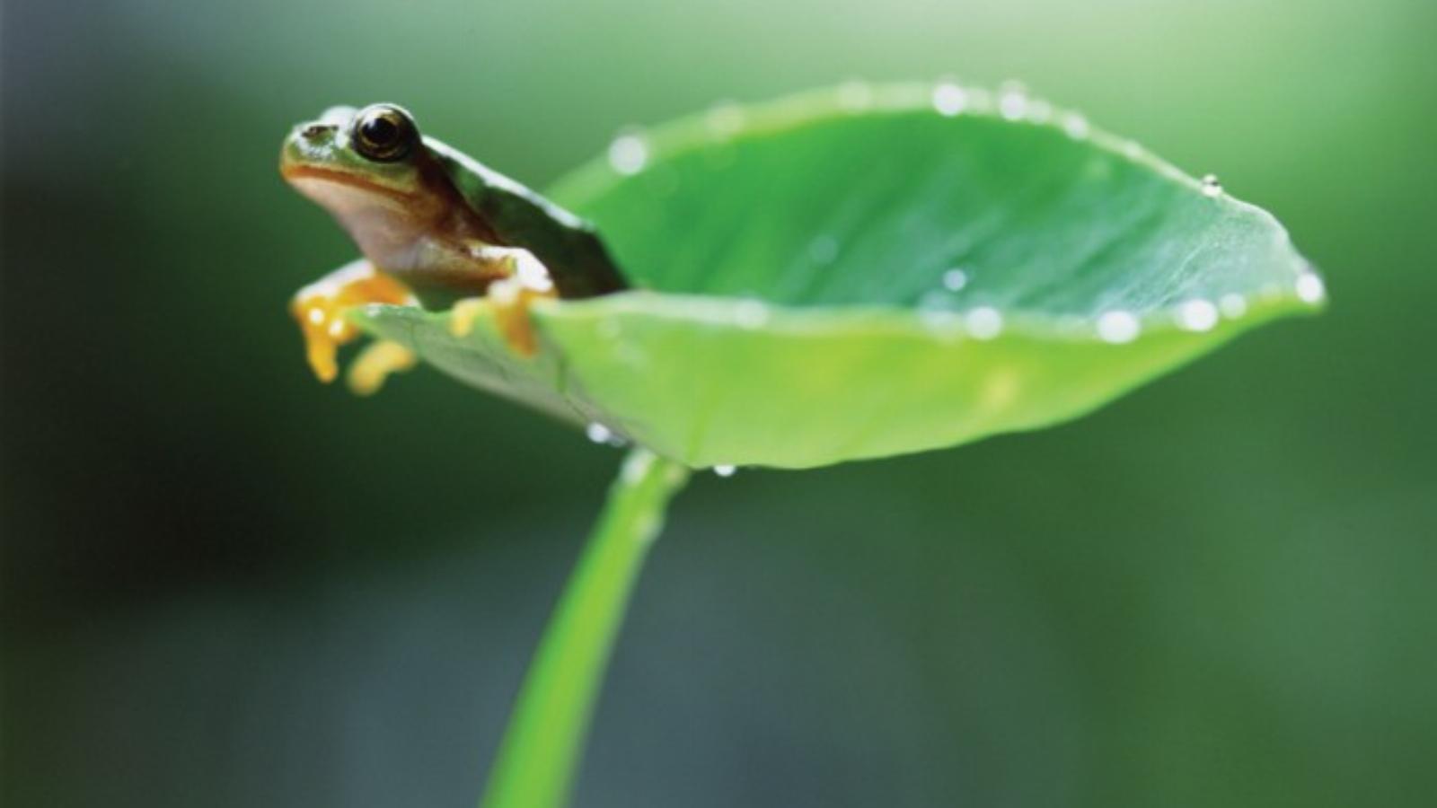 Fotó: TongRo Images/Thinkstock/Getty Images