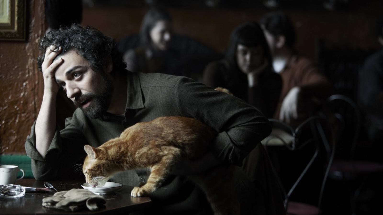 Oscar Isaac a Coen testvérek filmjében mint Llewyn Davis folkénekes a jelenetben a hozzácsapódott macskát eteti FORRÁS: VERTIGO 