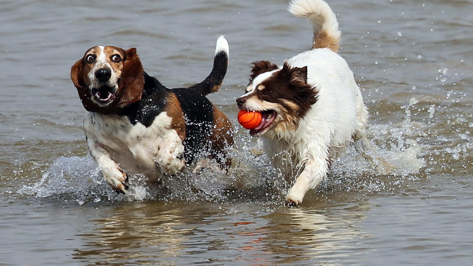 A kép illusztráció Fotó: Getty Images