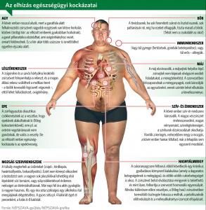 hogyan lehet elveszíteni has kövér ember zsírégető életmódváltozás