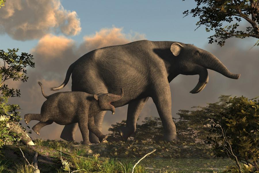 Lehet, hogy nem is az ősember pusztította ki az afrikai emlősöket