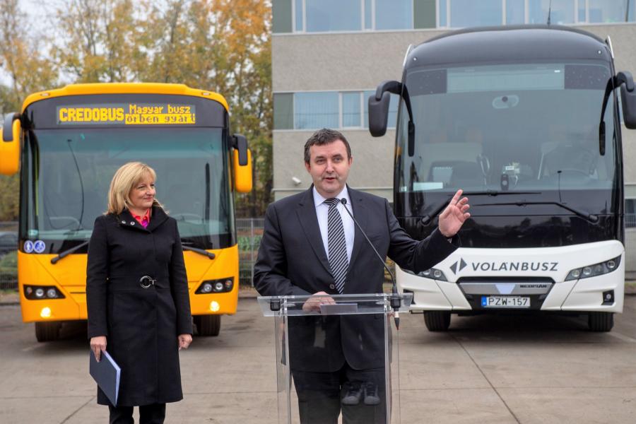 Magyar félvér buszok a Volánnál - Iskolabusz-hálózatot épít ki a kormány