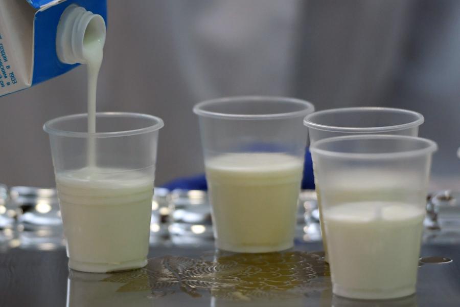 Évente 116 millió tonna tejterméket dobunk ki, de a fele már a boltba is romlottan ér