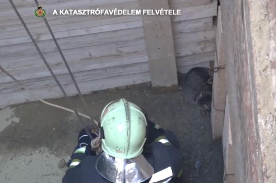 Tíz méter mély gödörből mentettek ki egy macskát a budapesti tűzoltók (videó)