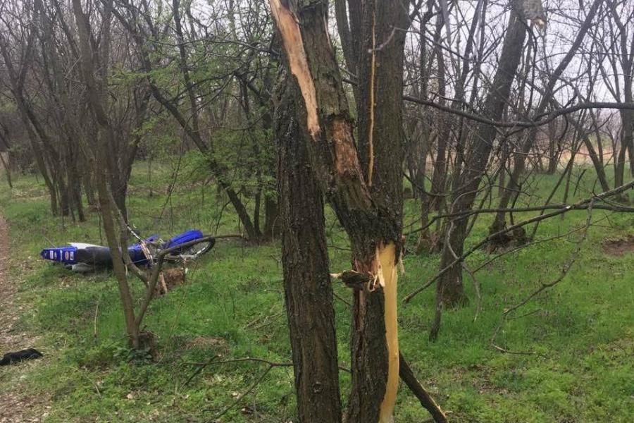 Holttestet talált egy erdőben sétáló nő Vácrátótnál