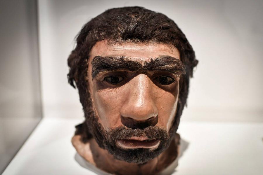Gyermekbetegség okozhatta a neandervölgyi ember kihalását