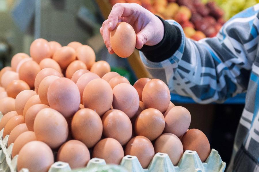 Akár 40 százalékkal is drágulhat a tojás