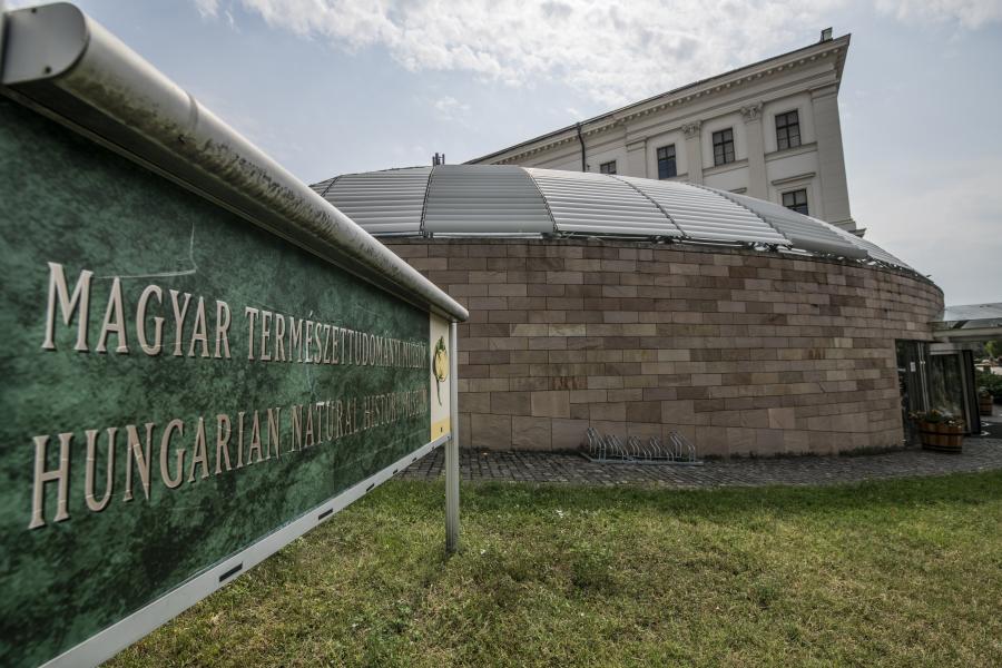 Karácsony: tragikusan rossz döntésnek tartom a Természettudományi Múzeum Debrecenbe költöztetését