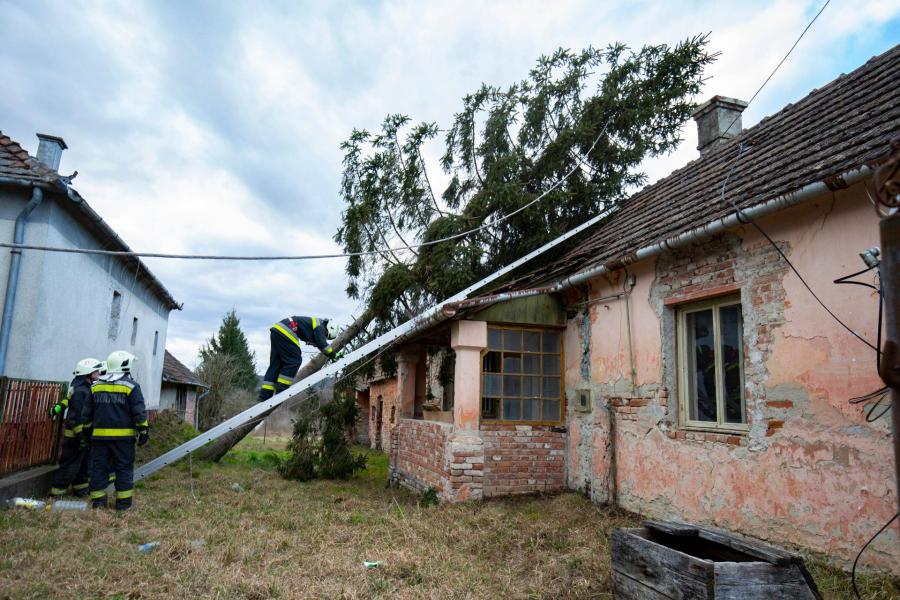 Kidőlt fák, megbontott tetők – Több ezer fogyasztónál okozott áramszünetet a viharos szél