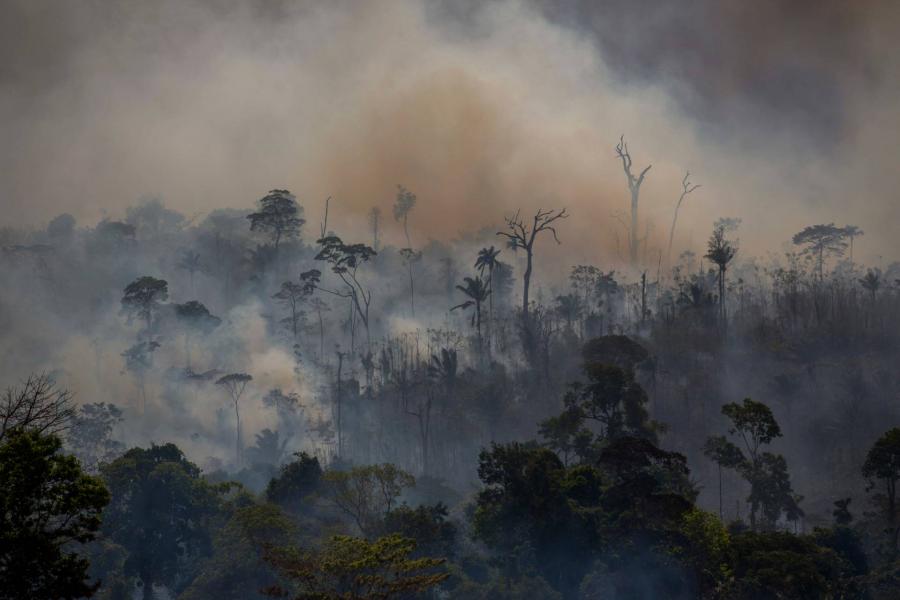 Egyre kevesebb szén-dioxidot nyelnek el a trópusi esőerdők