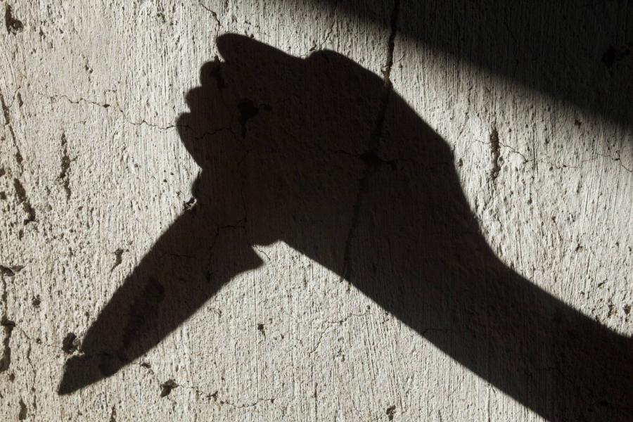 Bozótvágóval összekaszabolta a szomszédasszonyt, és megerőszakolta 12 éves féltestvérét
