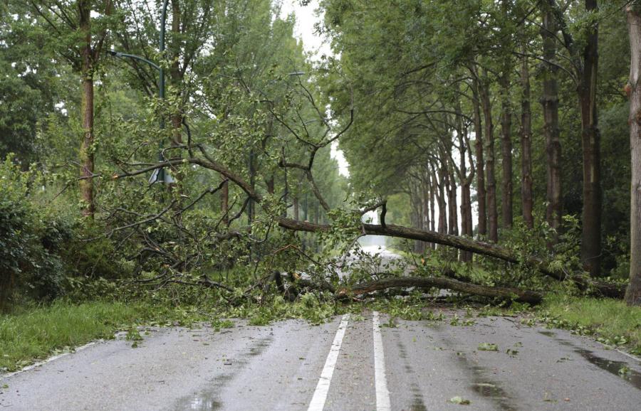 Tetőt bontott, fákat tépett ki a viharos szél Győrben