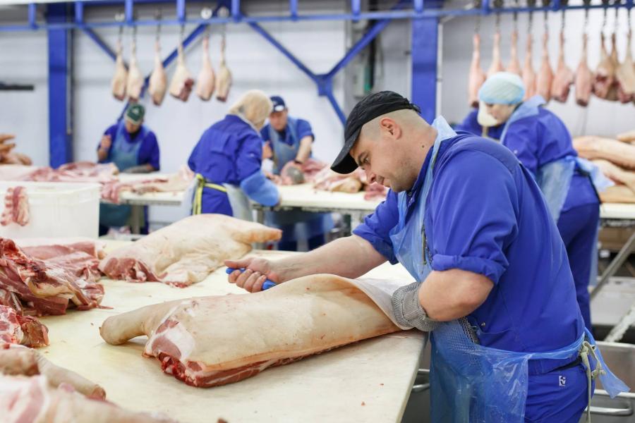 Csaknem nyolcvan fertőzöttet azonosítottak Dániában az egyik húsipari vállalat vágóhídján