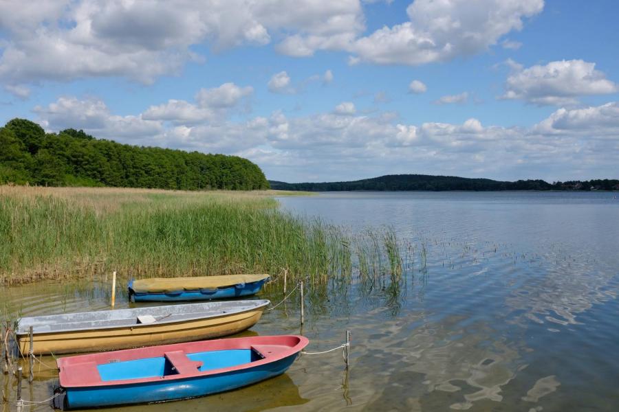 A kiszáradó brandenburgi tó a klímaváltozás újabb szimbóluma