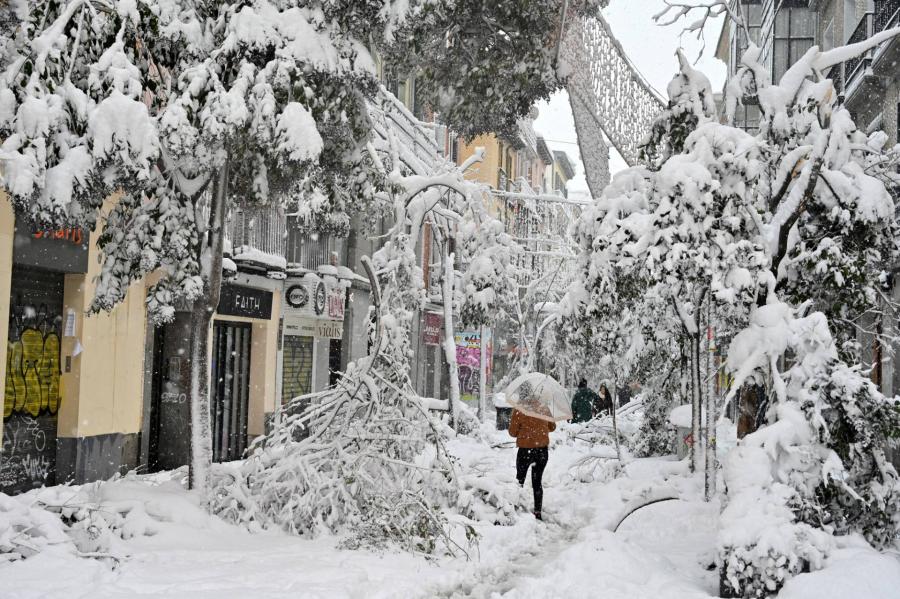 Mintegy 80 ezer fát kell kivágni Madridban a történelmi havazás miatt