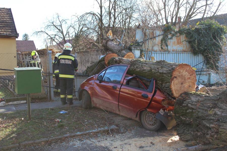 Sok munkát adott a tűzoltóknak a viharos szél Borsodban (fotók)