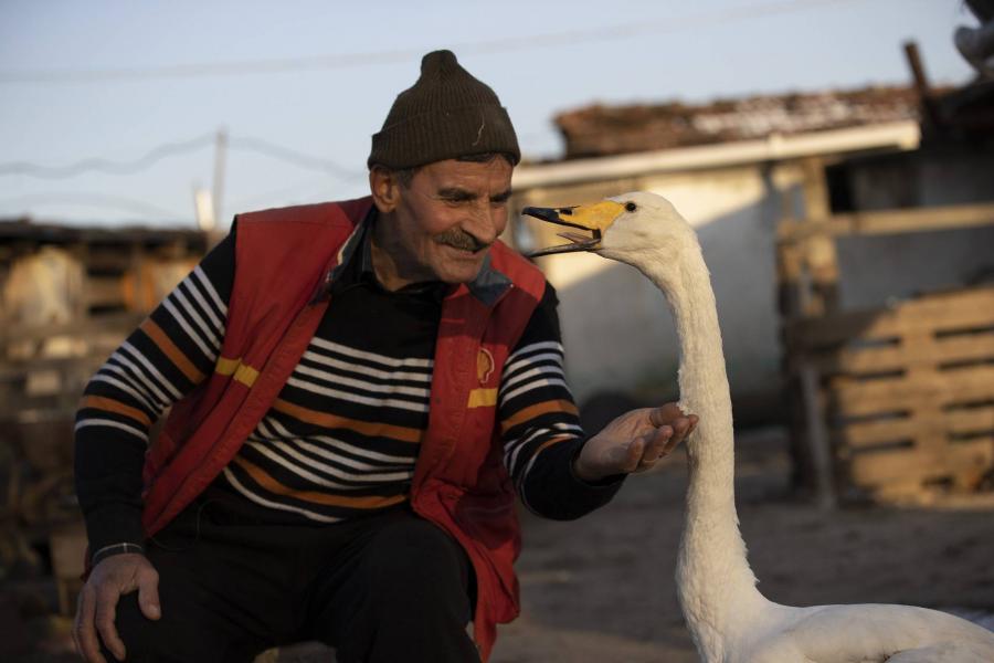 37 éve él mentett hattyújával egy férfi Törökországban