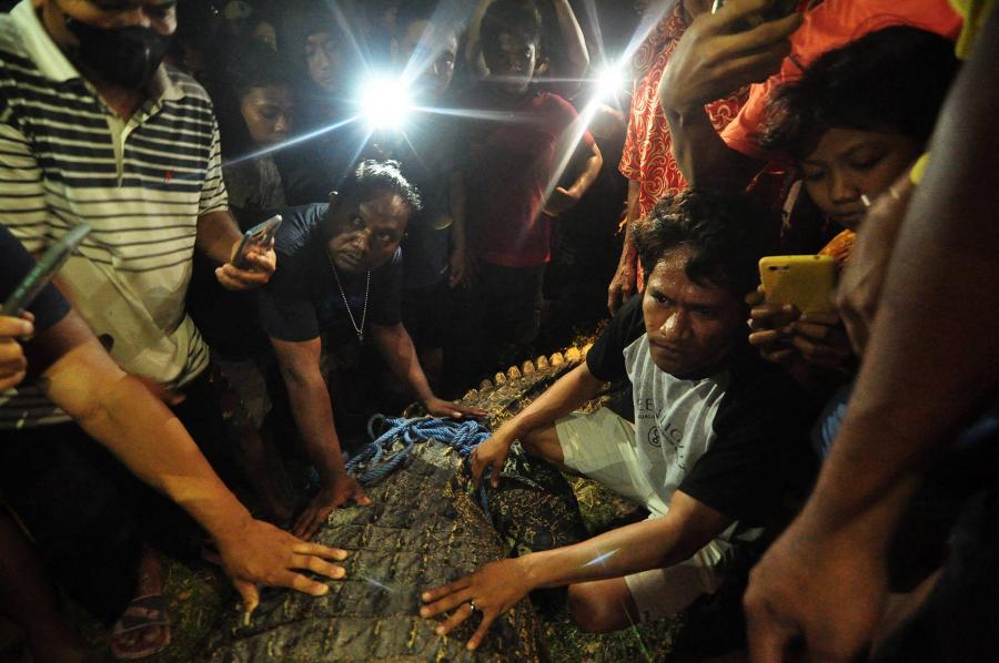 Öt év után szabadult meg a testére ragadt gumiabroncstól egy krokodil Thaiföldön