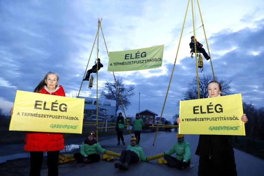 Élőlánccal követelik Greenpeace-aktivisták a Fertő tónál a kormányzati megaberuházás leállítását