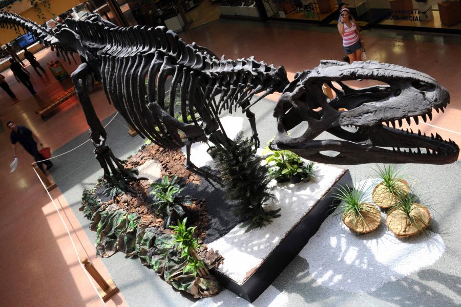 Eddig ismeretlen „kar nélküli” dinoszauruszfajt fedeztek fel Argentínában