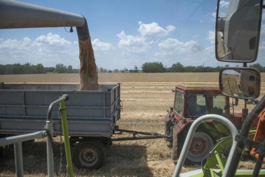 Eperjesen azt hitték, 2021-nél nem lehet rosszabb, de most már a növények sem nőnek