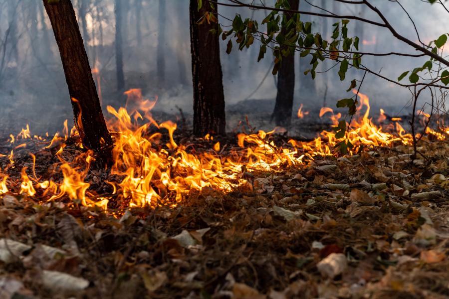 Gabonatáblát, tarlót pusztítanak a lángok az ország több pontján