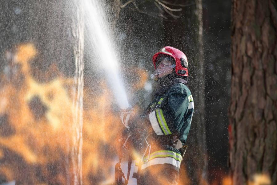 Hatalmas területen ég az erdő Kiskunhalas külterületén, több mint száz tűzoltó vesz részt az oltásban