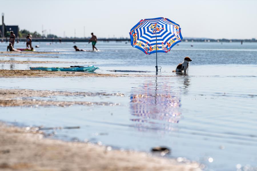 Rekordalacsony szintet ért el a Velencei-tó vízállása