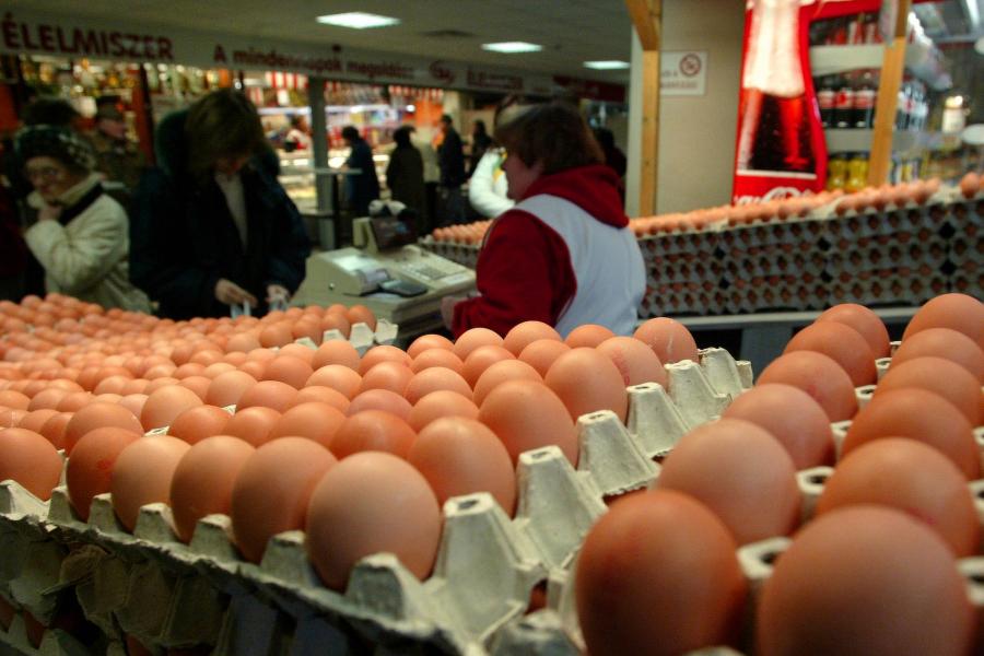 Tíz forinttal nőhet a tojás ára szeptembertől