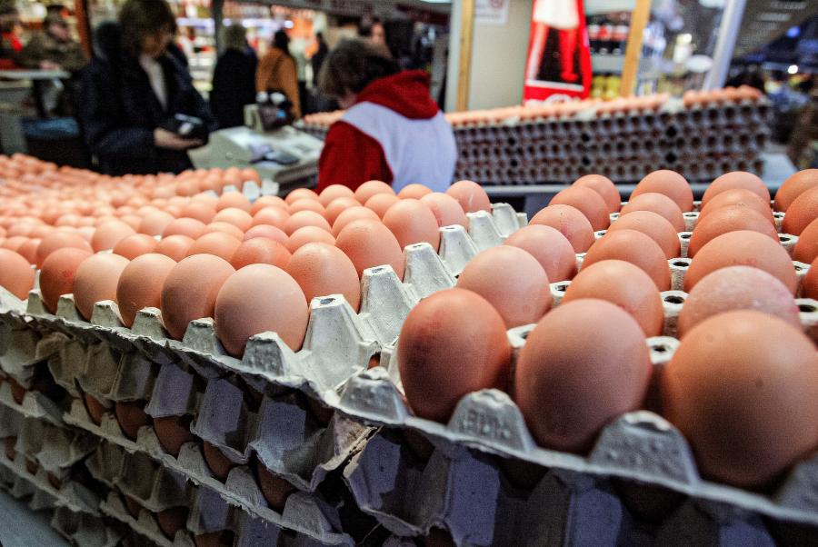 Luxuscikk lett a tojás, a sajt és a túró is, egyre kevesebben tudják megfizetni az elszálló árakat