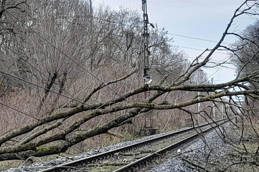 Kidőlt fák, leszakadt felsővezetékek, több vasútvonalon is fennakadásokat okozott a vihar