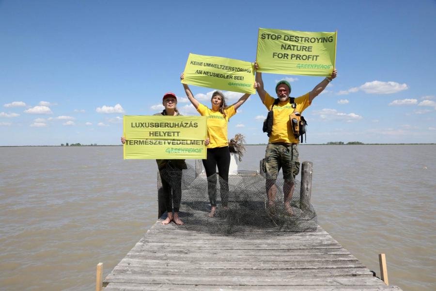 Greenpeace: A bíróság szerint teljesen rendben van a Fertő tavi gigaberuházás