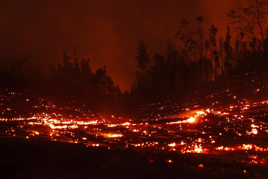 Tovább nőtt a chilei erdőtüzek halálos áldozatainak száma