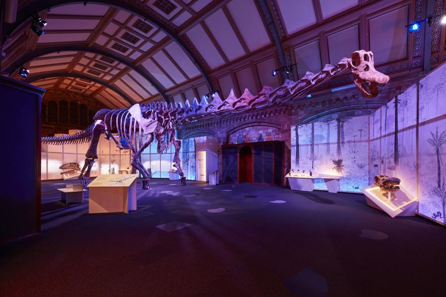 Már látható a londoni Természettudományi Múzeumban a valaha élt legnagyobb dinoszaurusz csontvázának replikája