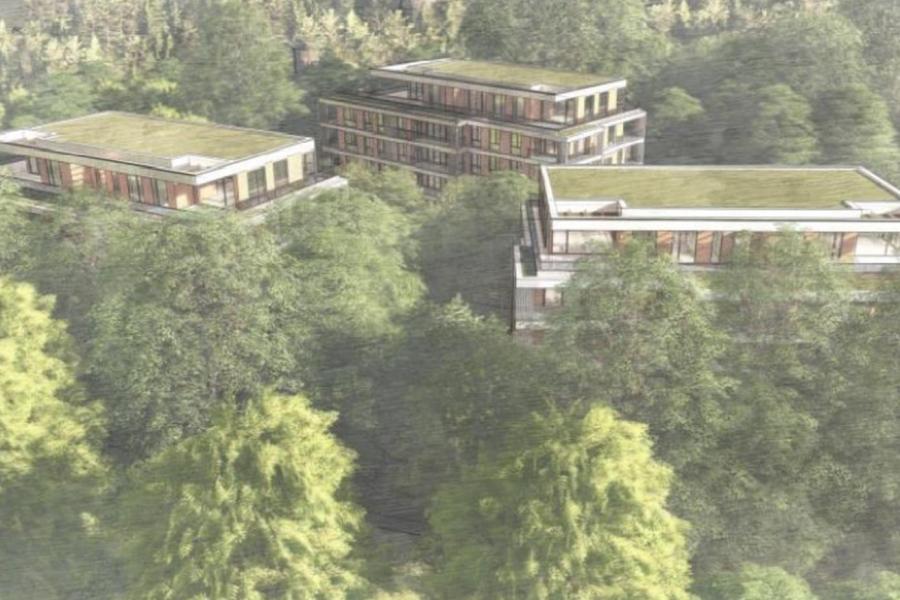 Hatalmas, 78 lakásos lakópark épülhet a Normafánál, lakásonként legalább egy fát kivágnának