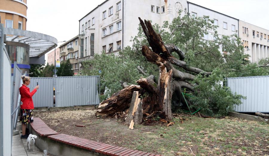 Szerbiában életeket követelt a péntek esti vihar, két felnőtt és egy gyerek halt meg
