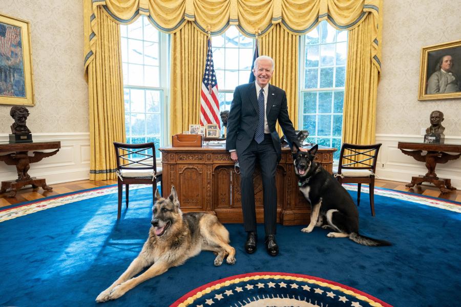 Fehér Ház: Vigyázat, a kutya harap!