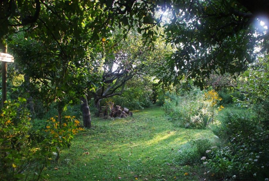 „Aki kertészkedik, arra törekszik, hogy az édenkertet teremtse meg” – Megmutatjuk Magyarország legszebb fenntartható kertjeit